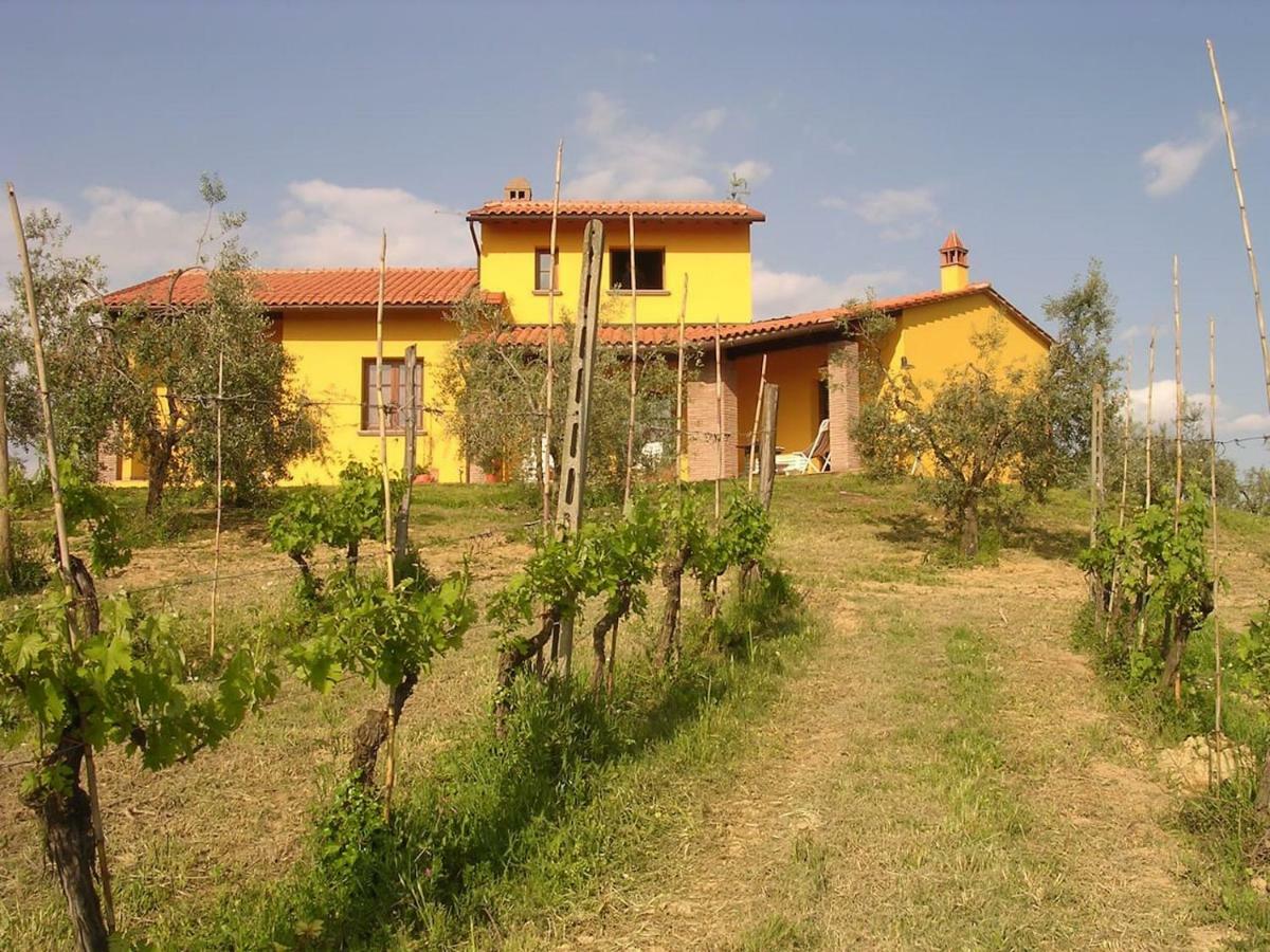 Villa In Campagna Costa Al Bagno Montopoli in Val dʼArno Buitenkant foto