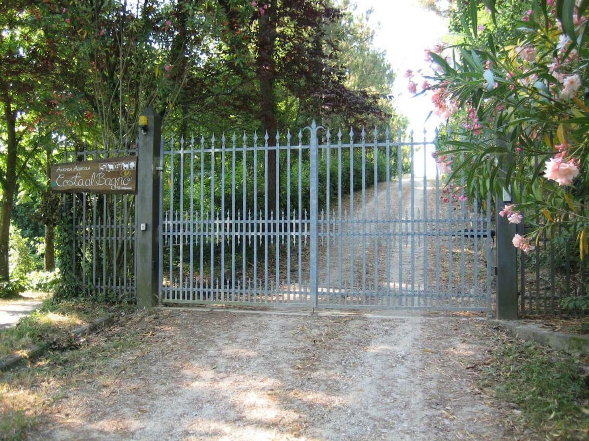 Villa In Campagna Costa Al Bagno Montopoli in Val dʼArno Buitenkant foto