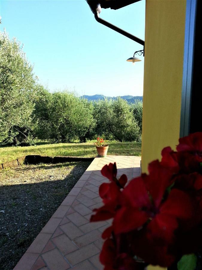 Villa In Campagna Costa Al Bagno Montopoli in Val dʼArno Buitenkant foto